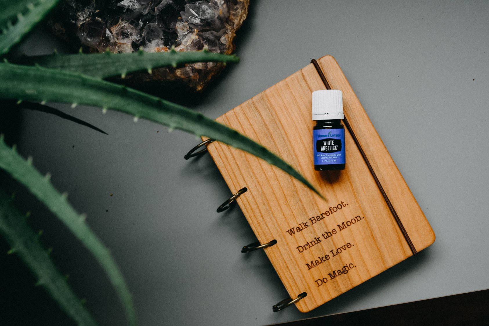 70301825_2470789733142672_511653917759635456_o